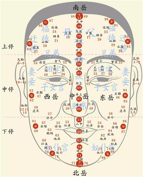 面相分析圖|面相學